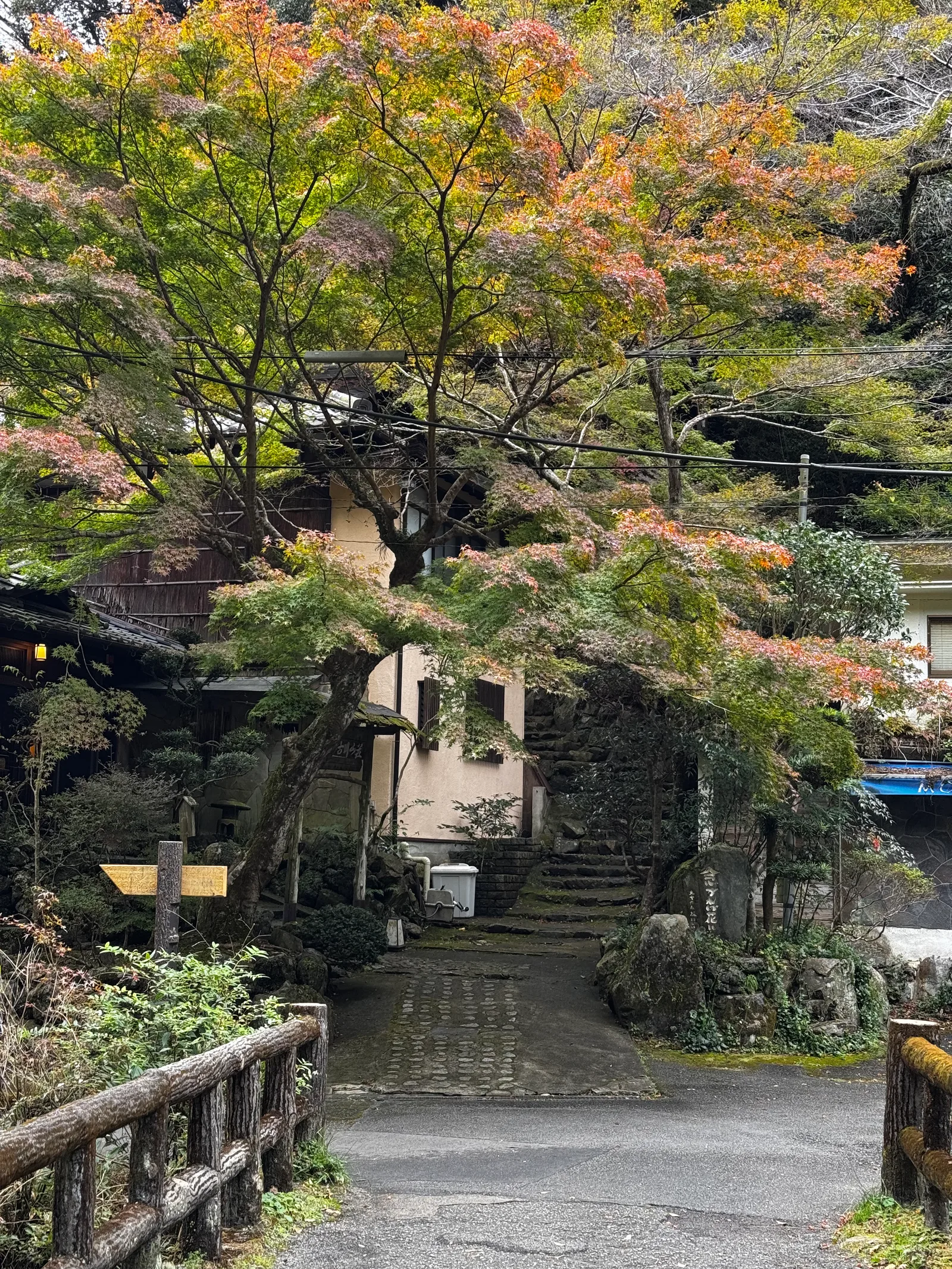 Minoh, Japan — 26 November 2024