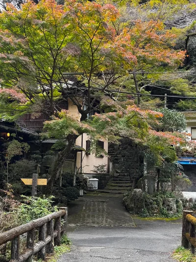 Minoh, Japan — 26 November 2024