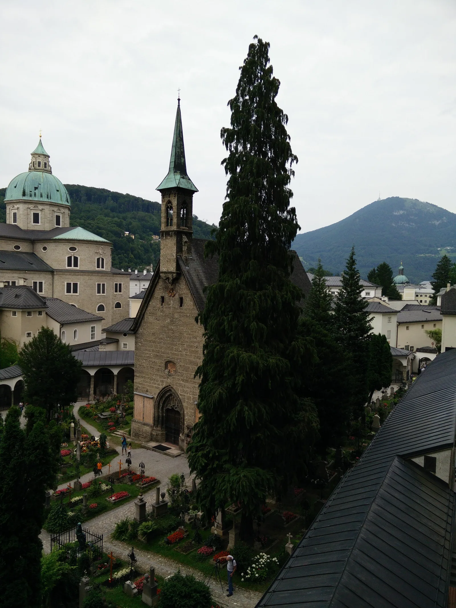 Photo from 14 July 2015