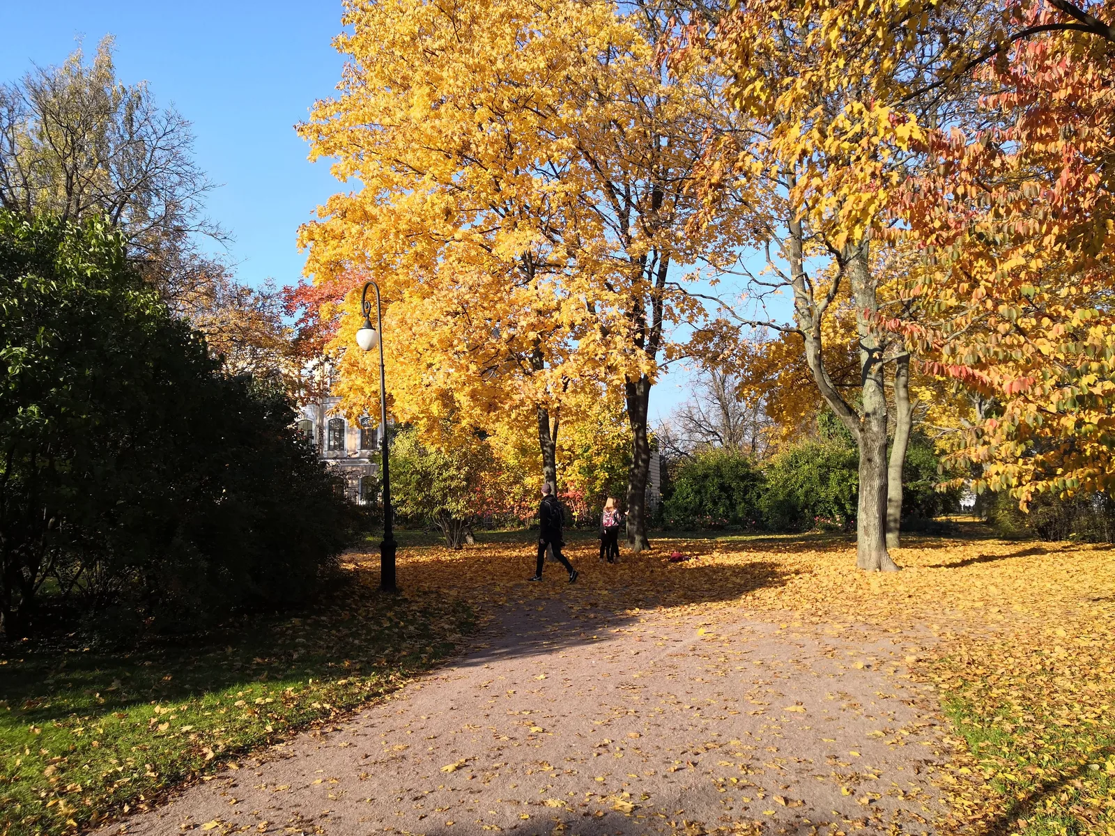 Photo from 14 October 2018