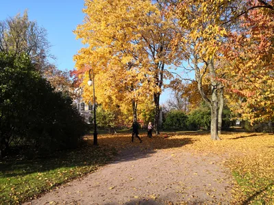 Photo from 14 October 2018