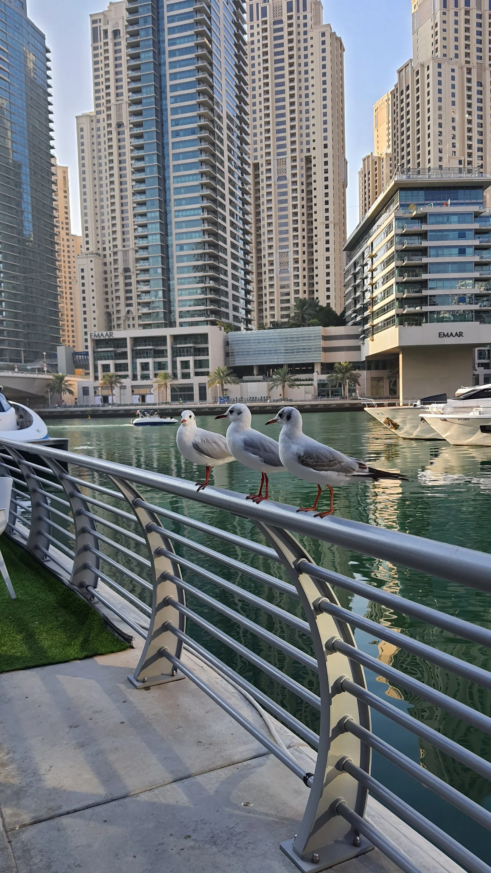 Dubai Marina, United Arab Emirates — 14 December 2020