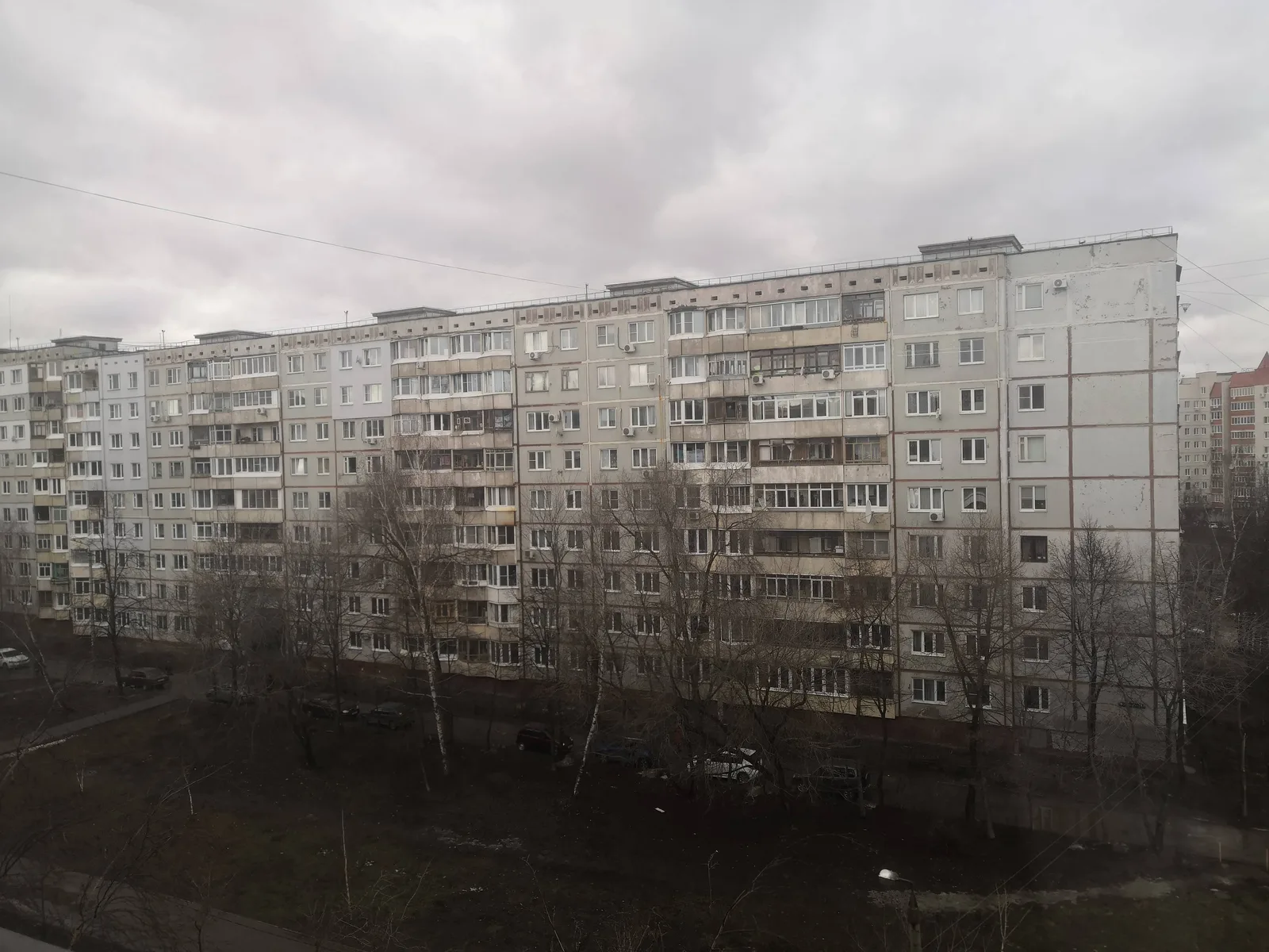 Photo from 19 February 2020