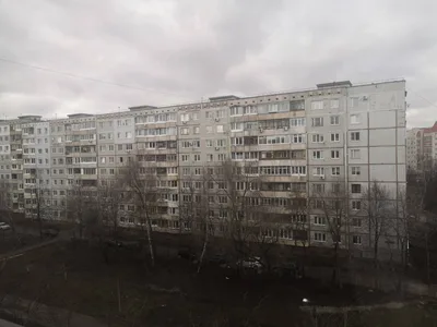 Photo from 19 February 2020