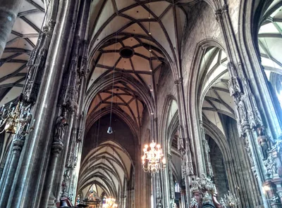 Photo from 11 July 2015