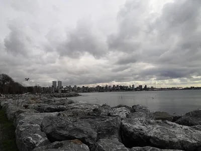 Photo from 3 January 2020