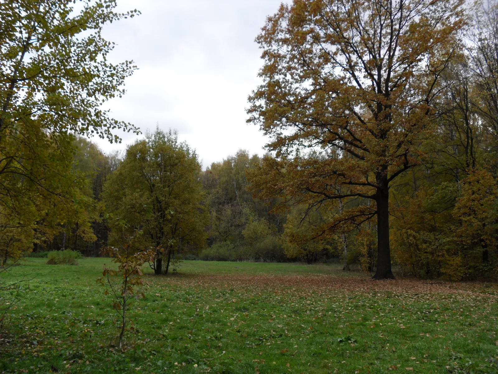 Photo from 11 October 2010