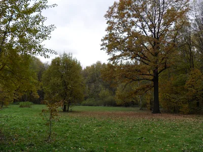 Photo from 11 October 2010