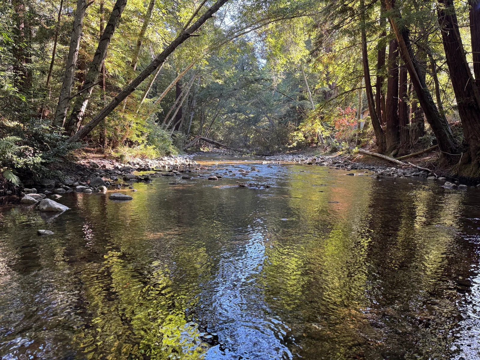 Carmel Valley Village, United States — 23 October 2025