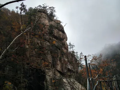 Sokcho, South Korea — 21 October 2016