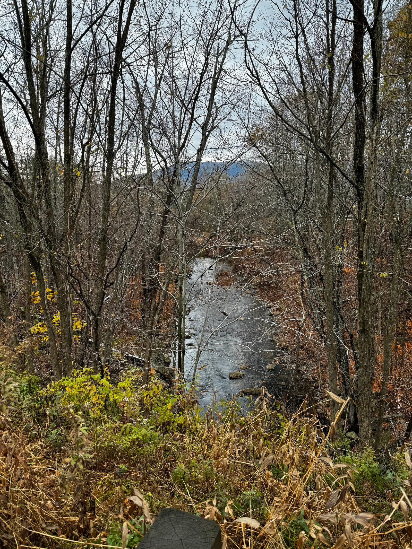 North Conway, United States — 10 November 2023