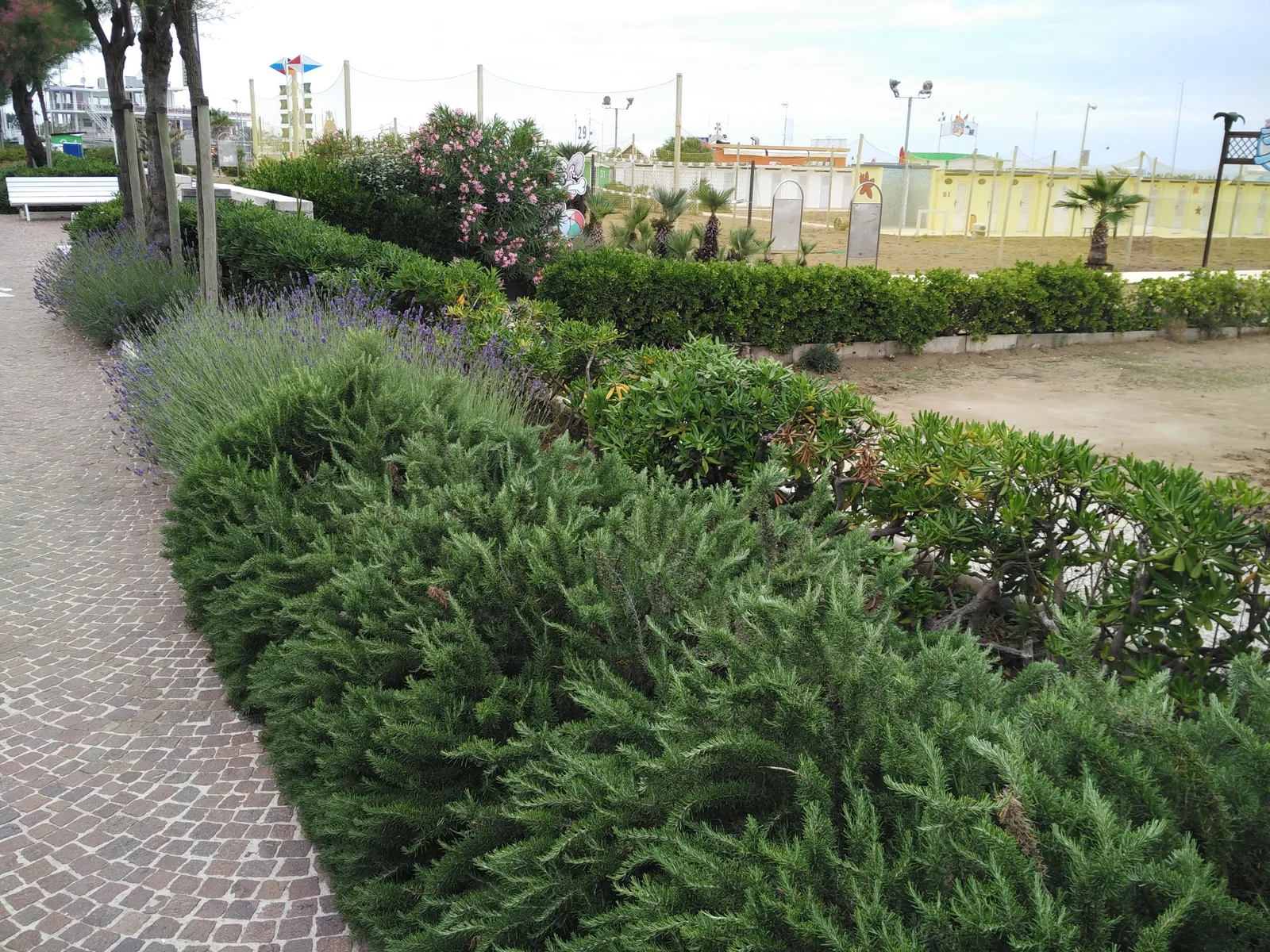 Rimini, Italy — 12 June 2016