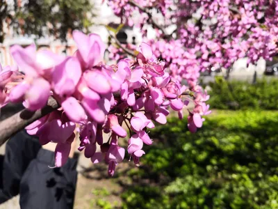 Photo from 20 March 2019