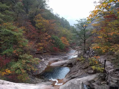 Sokcho, South Korea — 20 October 2016