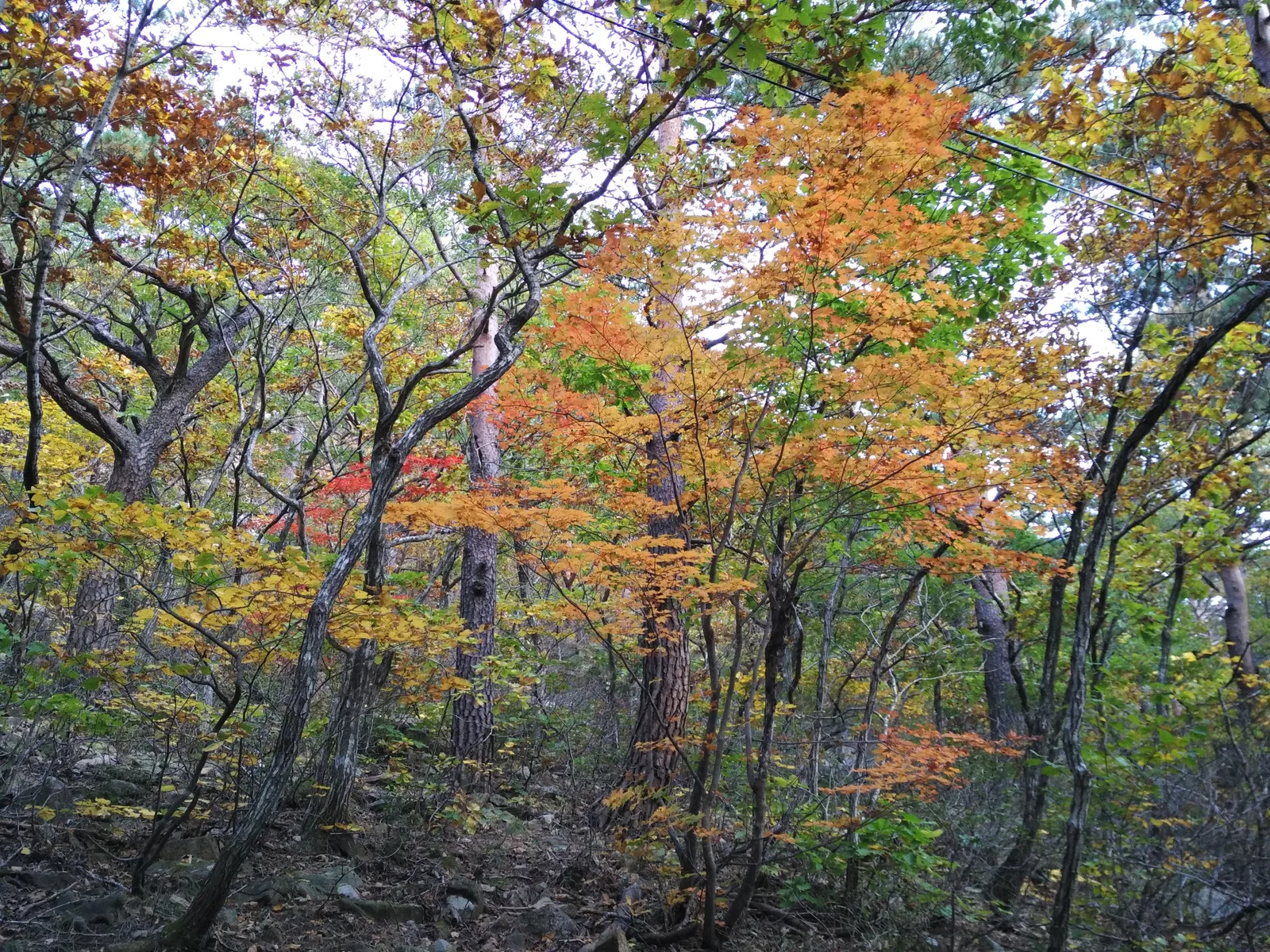 Toseong, South Korea — 19 October 2016