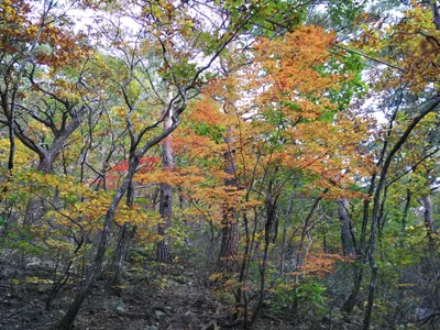 Toseong, South Korea — 19 October 2016