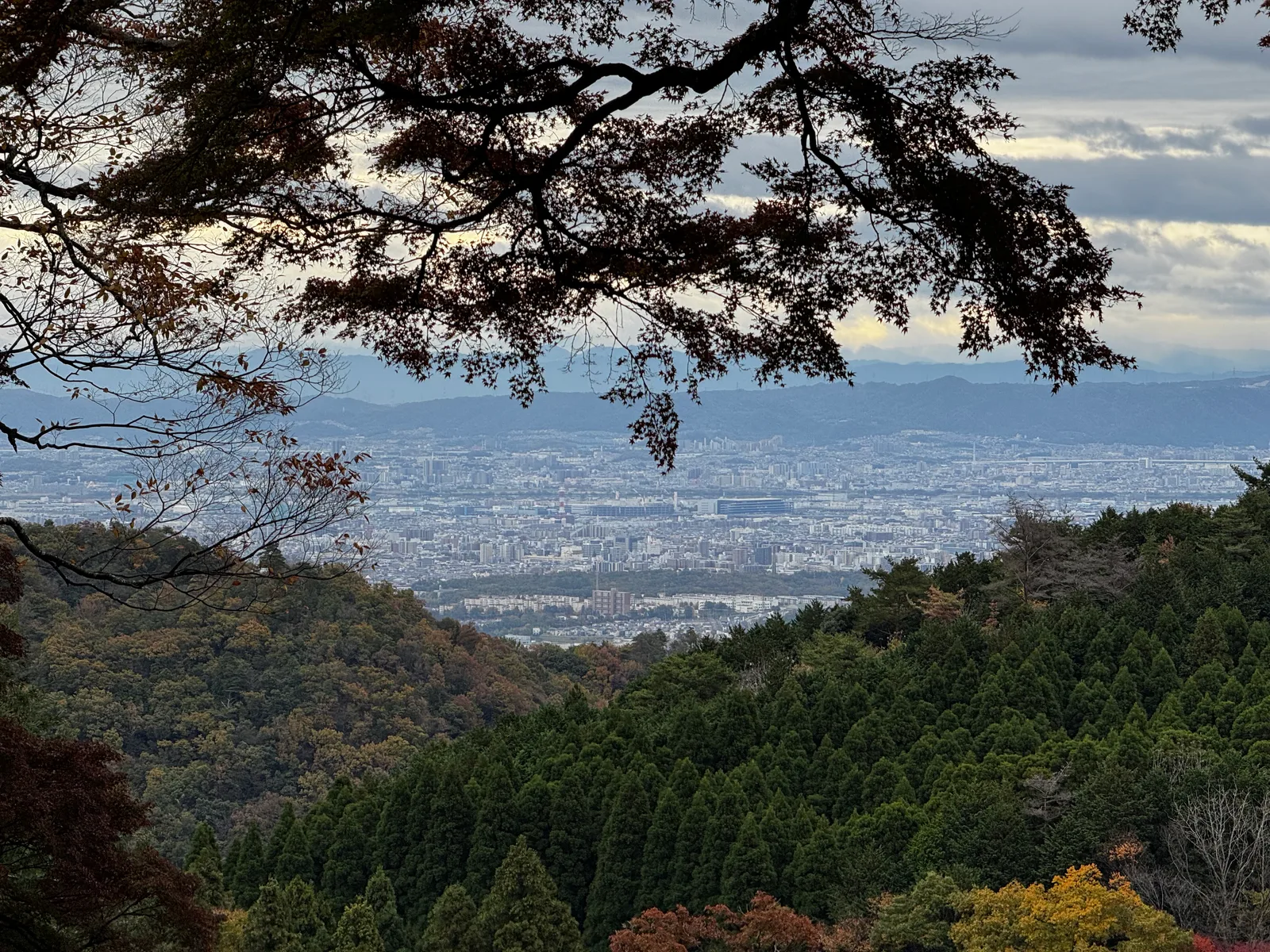 Minoh, Japan — 26 November 2024