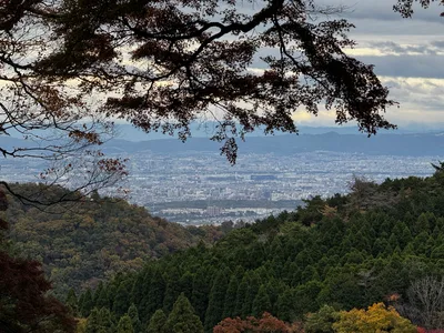 Minoh, Japan — 26 November 2024