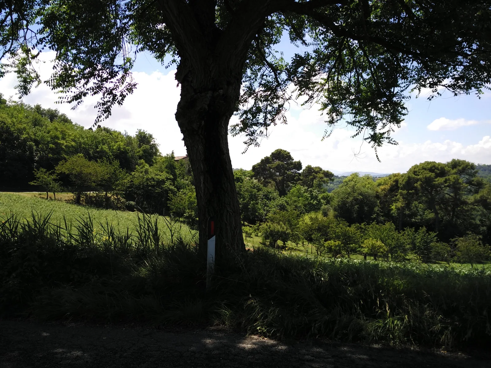 Gradara, Italy — 13 June 2016