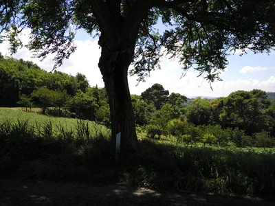 Gradara, Italy — 13 June 2016