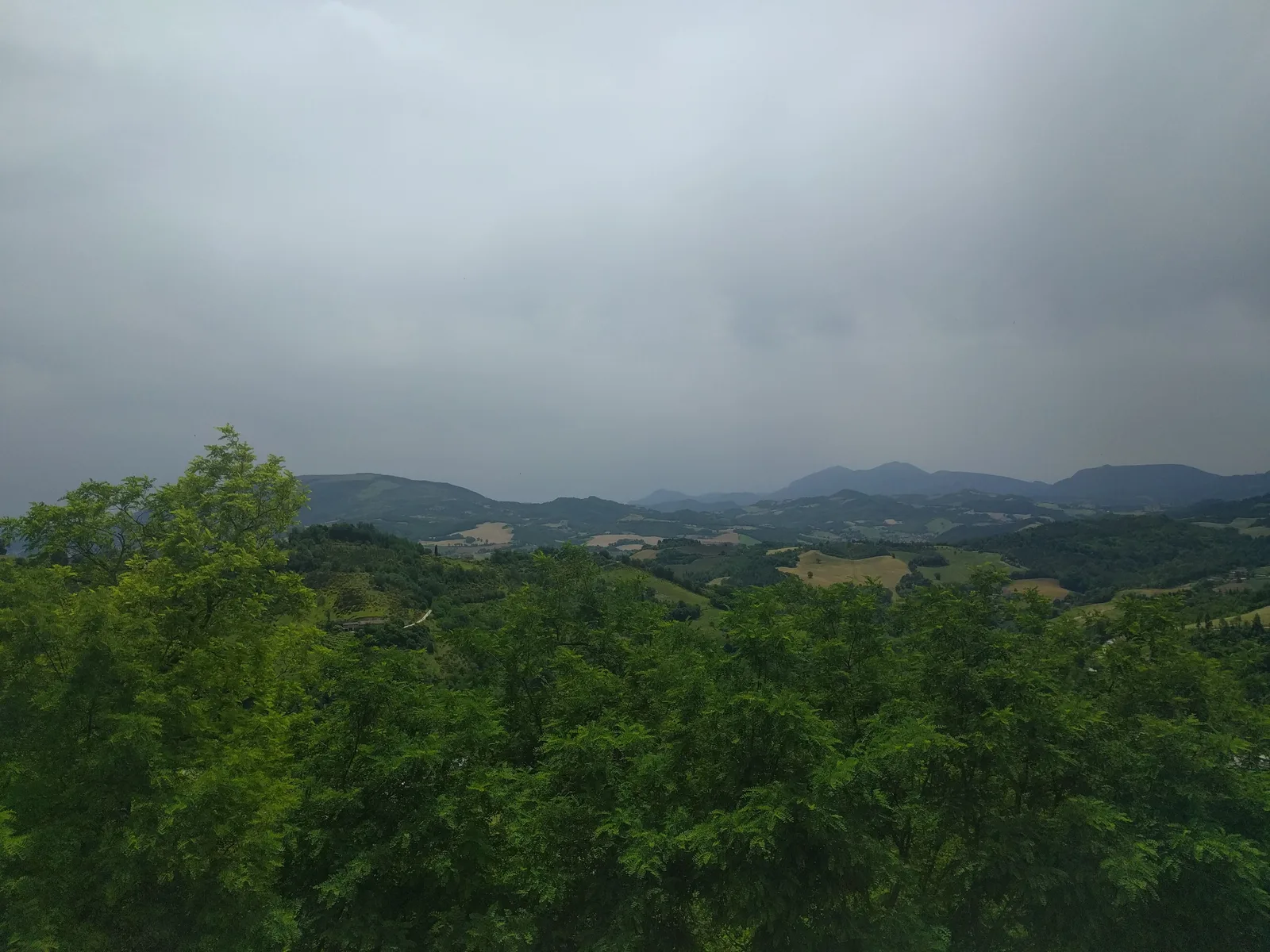 Photo from 16 June 2016