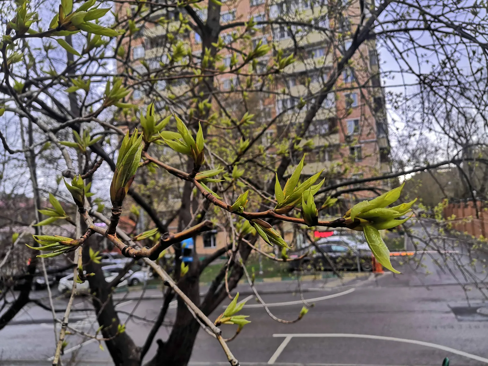 Photo from 25 April 2020
