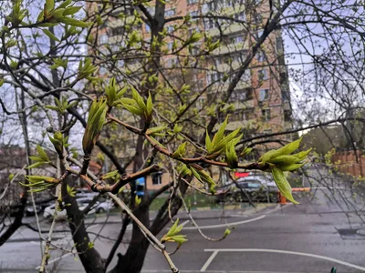 Photo from 25 April 2020