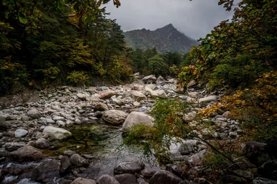 Photo from 21 October 2016