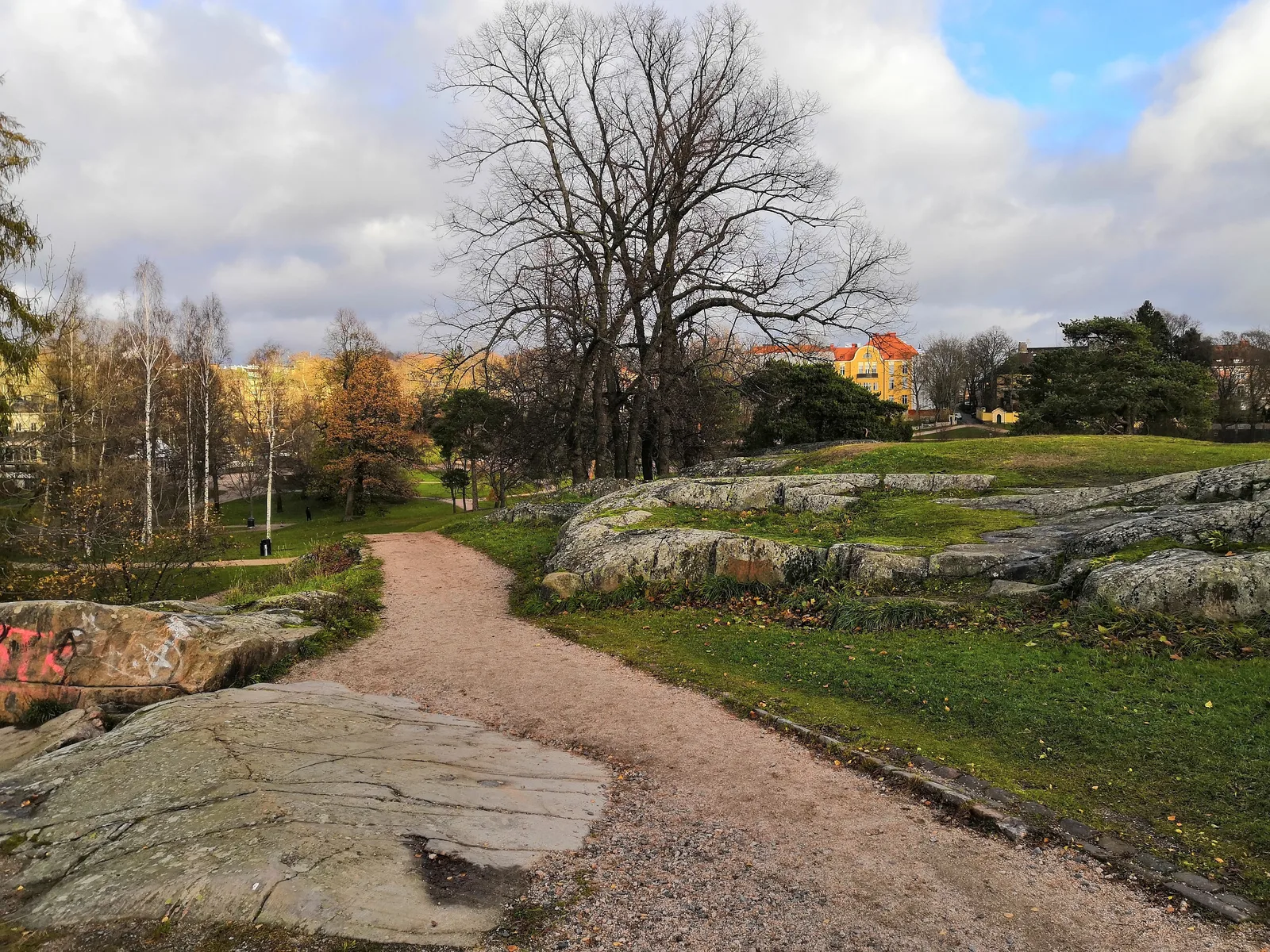 Photo from 4 November 2018