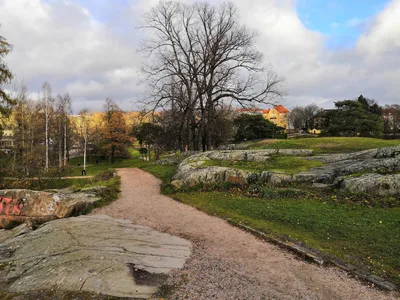 Photo from 4 November 2018