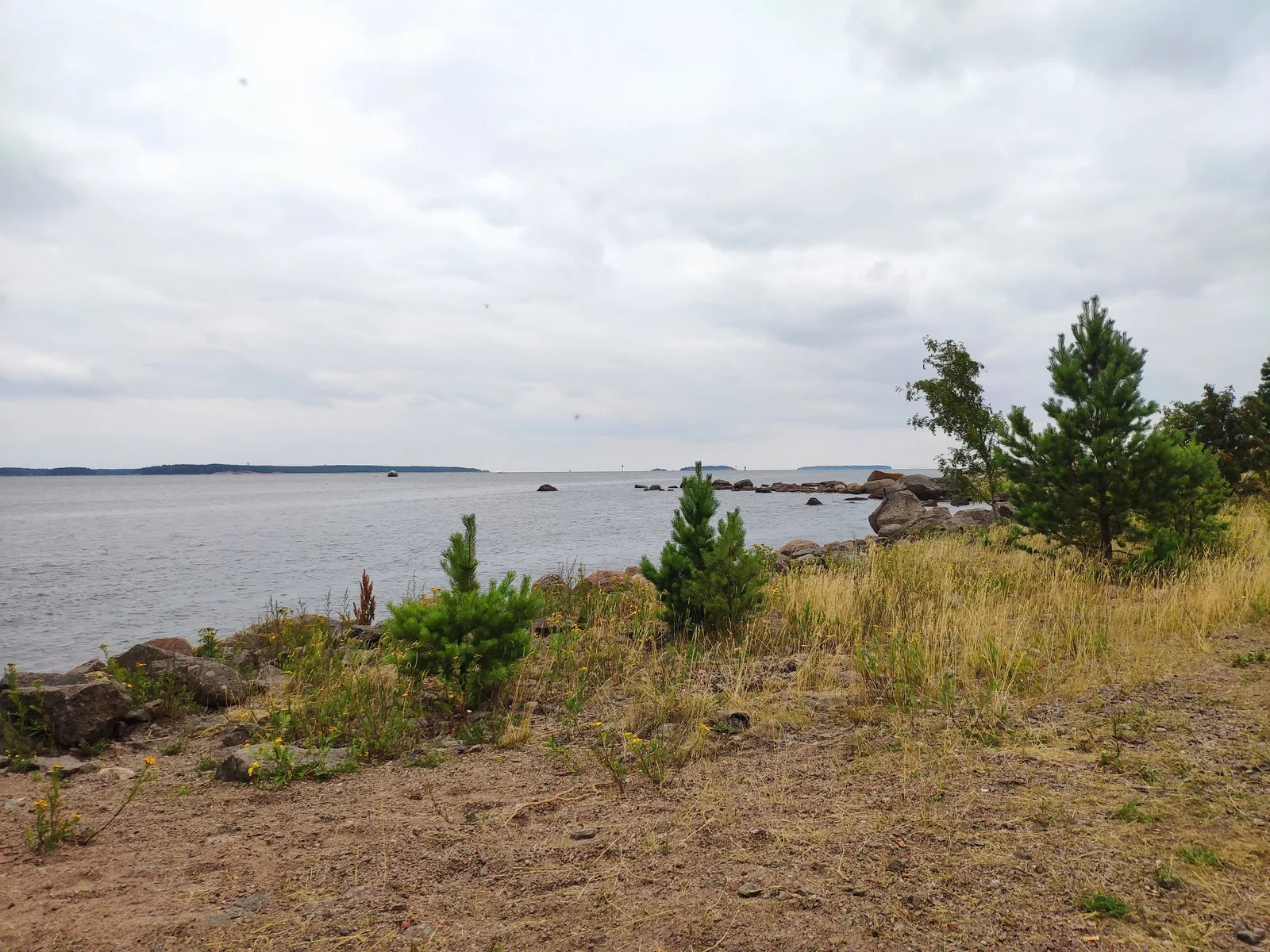 Photo from 1 August 2019