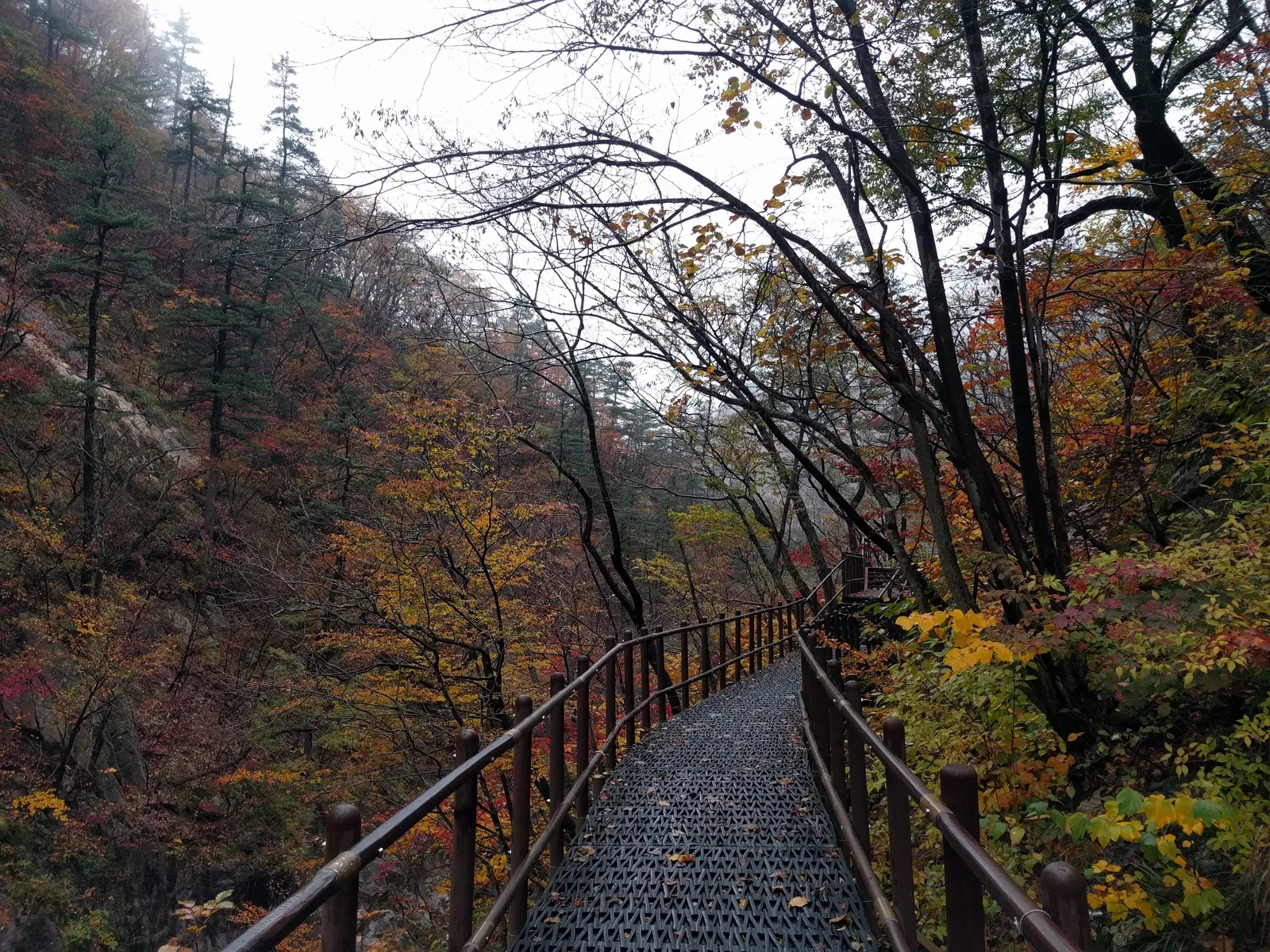 Sokcho, South Korea — 21 October 2016
