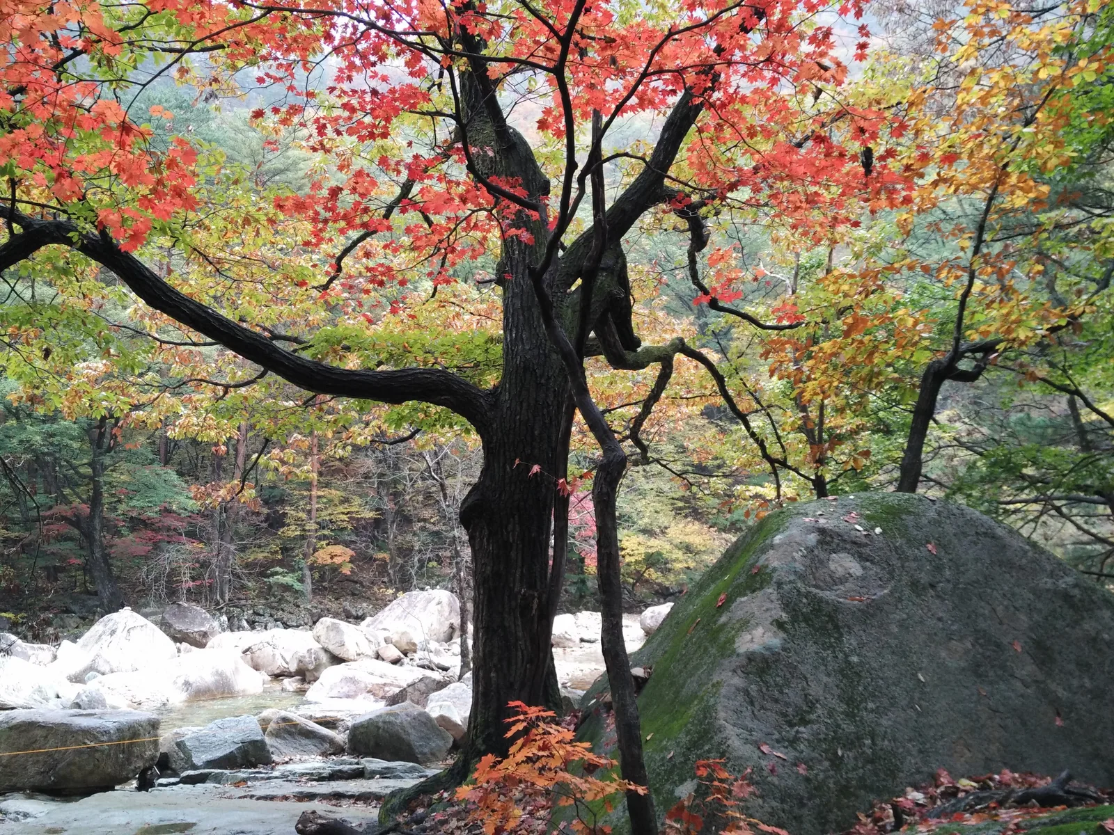 Photo from 21 October 2016