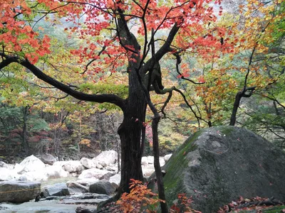 Photo from 21 October 2016