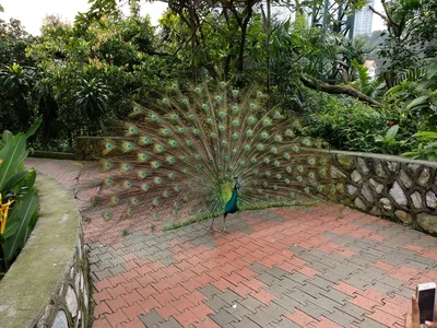 Photo from 27 December 2017
