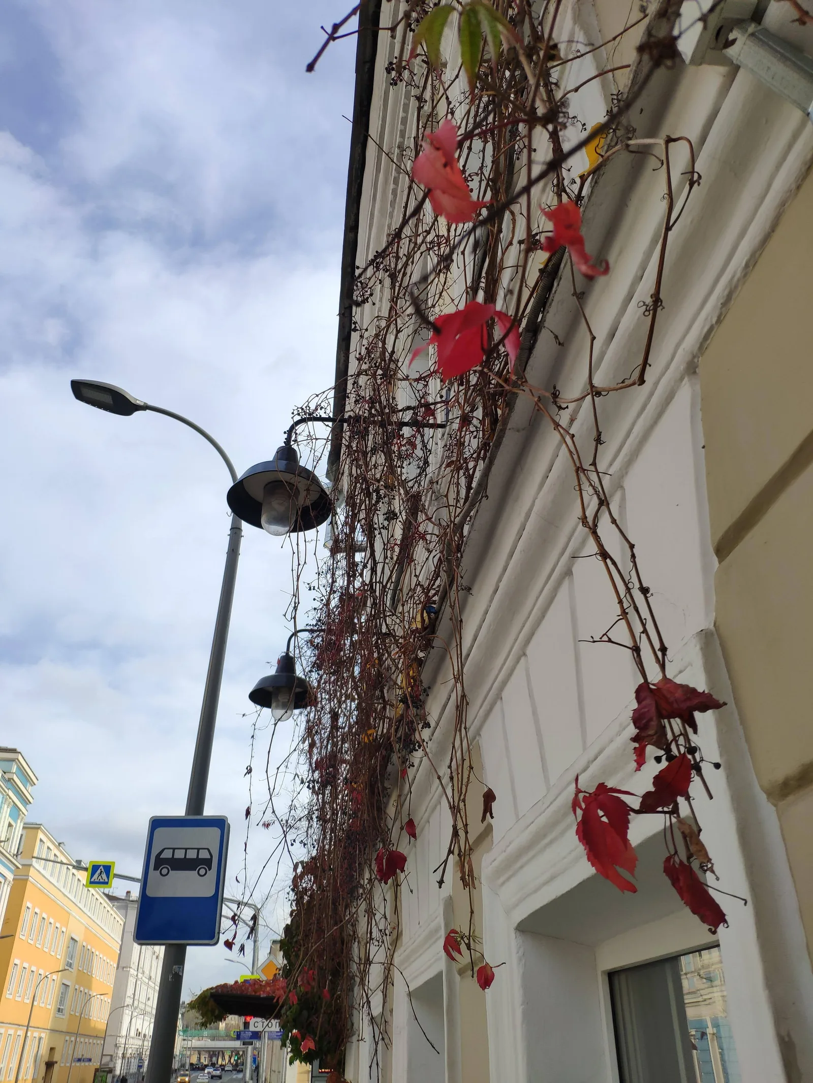 Photo from 26 October 2019