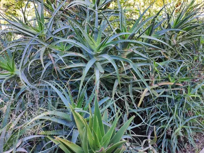 Photo from 14 March 2019
