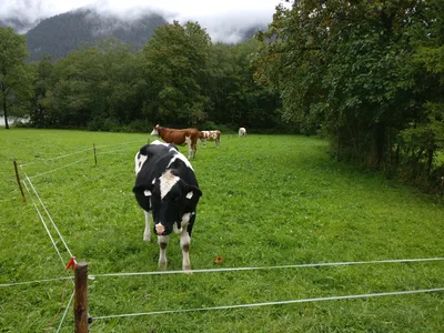 Maurach, Austria — 17 September 2017