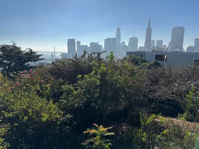 Chinatown, United States — 19 October 2025