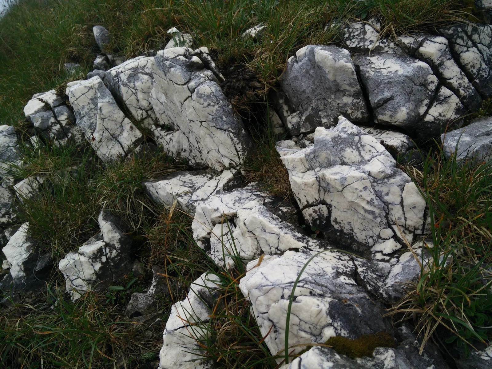 Sankt Leonhard, Austria — 14 July 2015