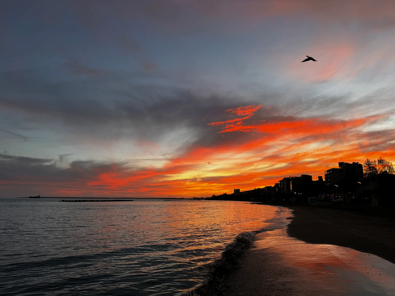Limassol, Cyprus — 8 February 2024