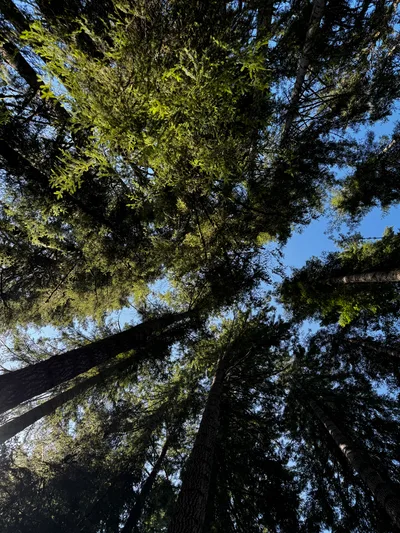 Rose Lodge, United States — 25 August 2024
