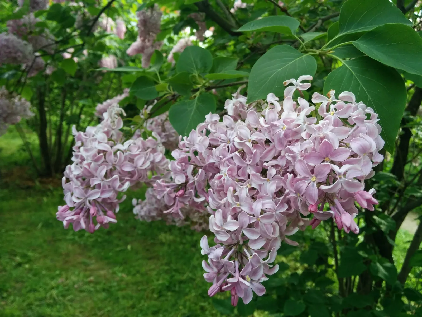 Photo from 23 May 2015