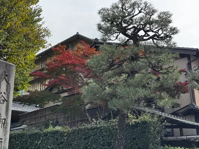 Kyoto, Japan — 27 November 2024