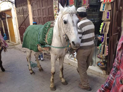 Photo from 15 March 2019