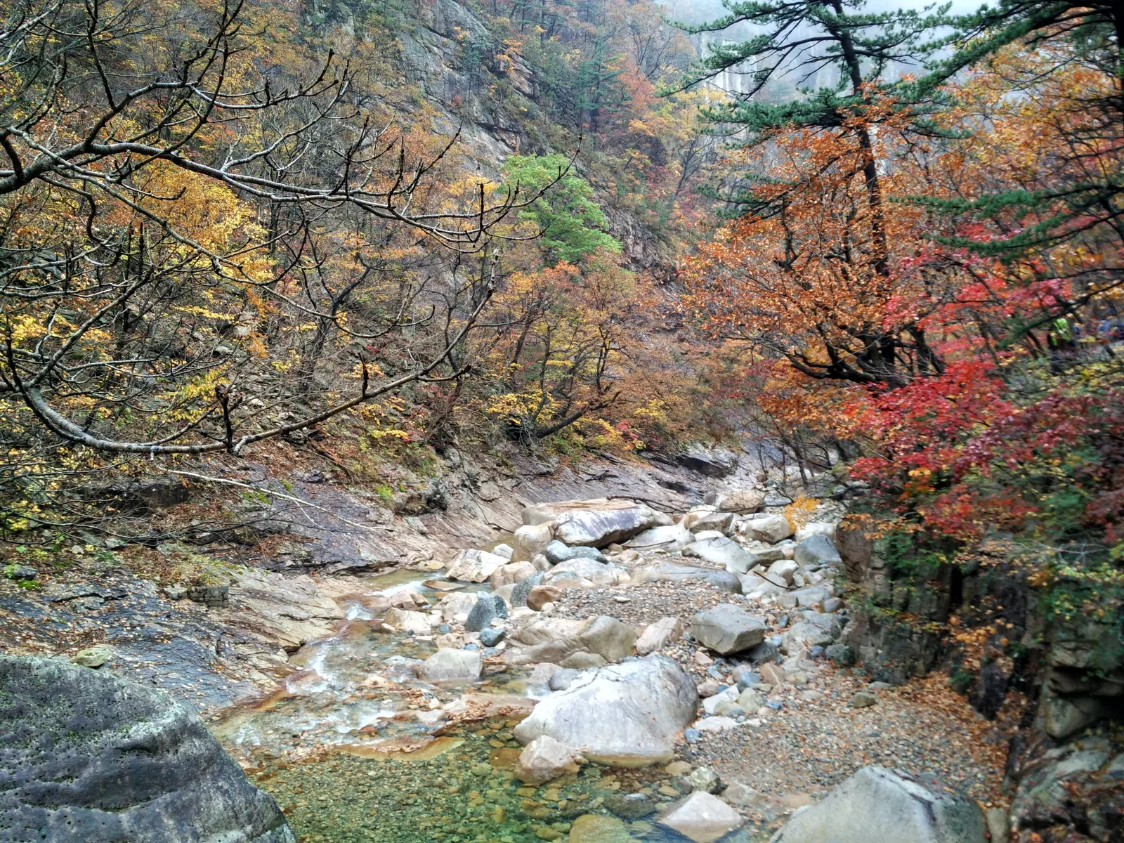 Sokcho, South Korea — 21 October 2016