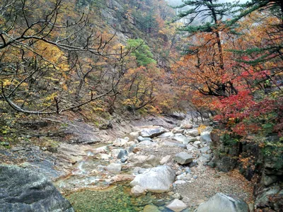 Sokcho, South Korea — 21 October 2016