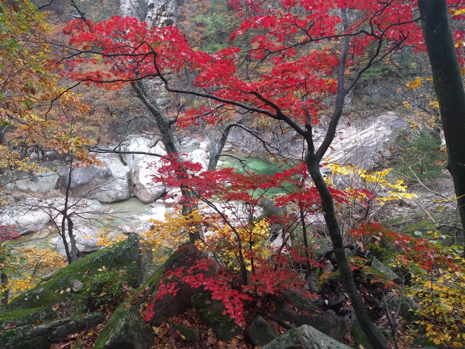 Sokcho, South Korea — 21 October 2016