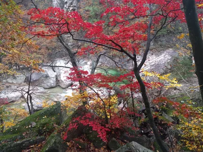 Sokcho, South Korea — 21 October 2016