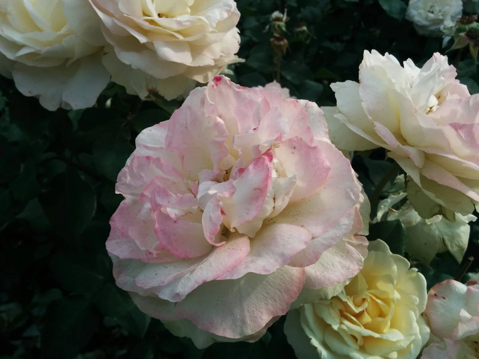 Photo from 5 July 2015